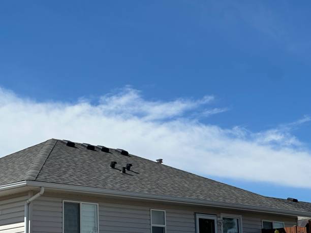 Reliable Niles, IL  Roofing repair and installation Solutions